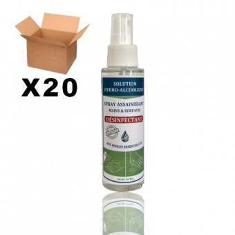 SPRAYS HYDROALCOOLIQUES DE 100ML - BOÎTE DE 20 U