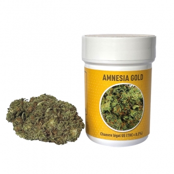 POT X 2 G FLEUR DE CBD AMNESIA GOLD