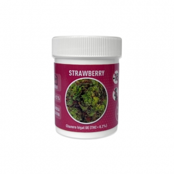 https://www.laboratoire-funline.com/495-thickbox_default_en/cbd-strawberry-flowerpot.jpg