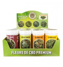 DISPLAY PREMIUM X 16 FLOWERPOTS OF CBD 4G