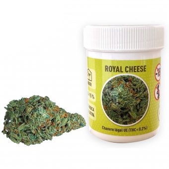 POT X 2 G FLEUR DE CBD ROYAL CHEESE