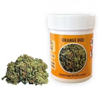 https://www.laboratoire-funline.com/506-thickbox_default_en/pot-x-2-g-fleur-de-cbd-orange-bud.jpg