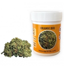 ORANGE BUD - 2G / 4G