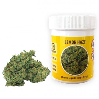 https://www.laboratoire-funline.com/507-thickbox_default_en/pot-x-2-g-fleur-de-cbd-lemon-haze.jpg