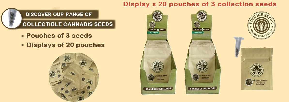 Hemp Seeds